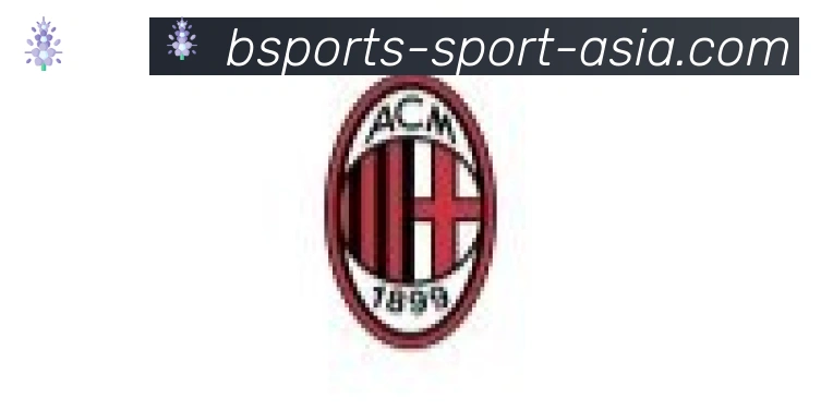 Bsports官网合作伙伴